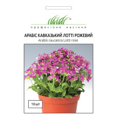Арабіс кавказький "Лотті" 10шт