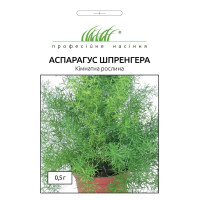 Аспарагус Шпренгера 0,5г
