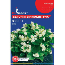 Бегонія біла "Фея F1" 10шт GL