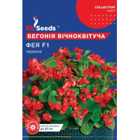 Бегонія червона "Фея F1" 10шт GL