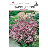 Матіола "Цариця ночі" 5г СМ