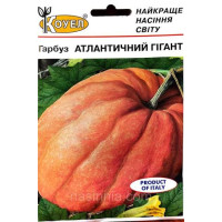 Гарбуз "Атлантичний гігант" 10шт КОУЕЛ