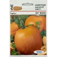 Гарбуз "Біг Макс" 10г КОУЕЛ