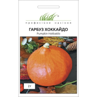 Гарбуз "Хоккайдо" 2г ПРОФ