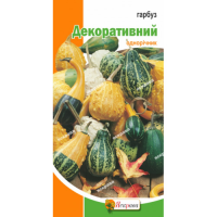 Гарбуз декоративний 0,5г ЯС