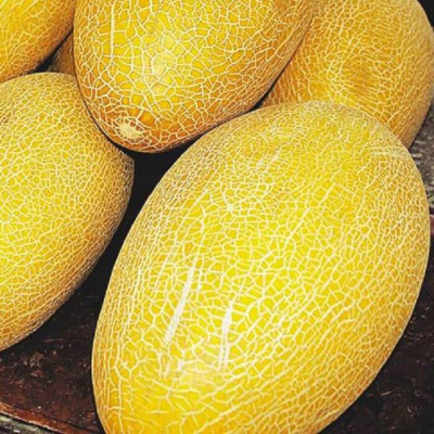 Диня "Ананас" 5г Максі НУ