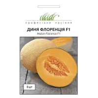 Диня "Флоренція F1" 8шт ПРОФ