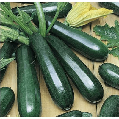 Кабачок "Діамант" 5г КОУЕЛ