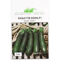 Кабачок "Кора F1" 5шт ПРОФ