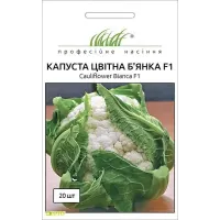 Капуста цвітна "Б'янка F1" 20шт ПРОФ