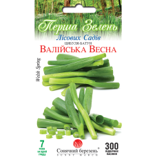Цибуля "Валійська Весна" 300шт СМ