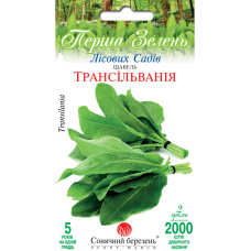 Щавель "Трансільванія" 2000шт СБ