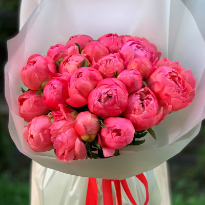 Піон "Coral Charm"