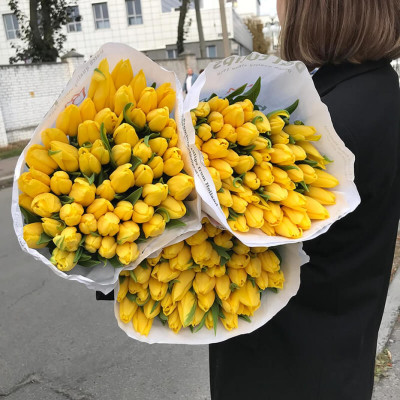 Тюльпан тріумф "Strong Gold" 10/11